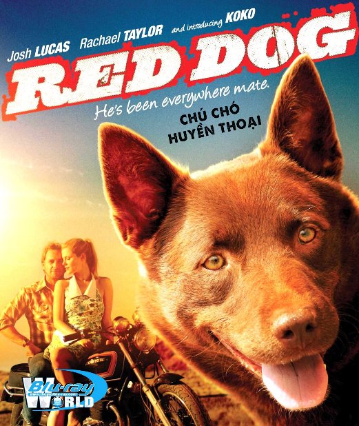 F2081. Red Dog - Chú Chó Huyền Thoại 2D50G (DTS-HD MA 5.1) 